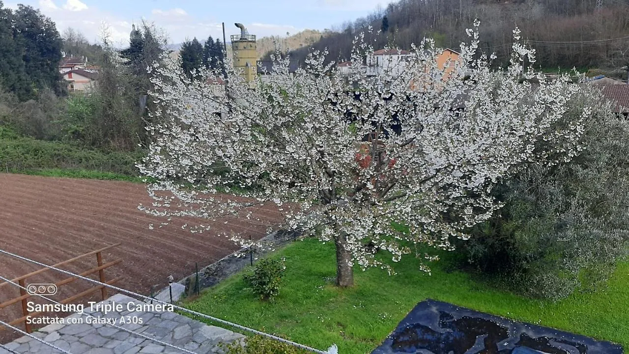 Agriturismo La Via Del Sale Pignone Italy